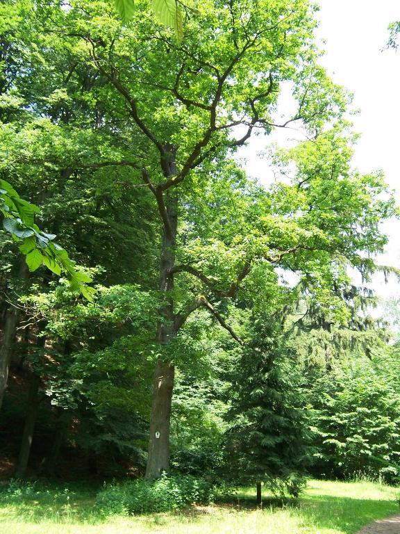Ferienwohnung Im Stieg 4 Quedlinburg Esterno foto